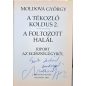 DEDIKÁLT-A tékozló koldus 2.- A foltozott halál