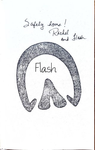 DEDIKLÁLT-  Rachel Anne Ridge: Flash The Homeless Donkey Who Taught Me About Life, Faith, and Second Chances