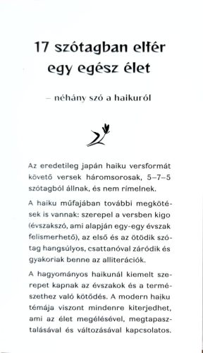 DEDIKÁLT - Csák Zita: Hőhullámvasút