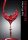 A legjobb 40 magyar bor     TOP 40 Wines