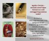 Agatha Christie könyvcsomag
