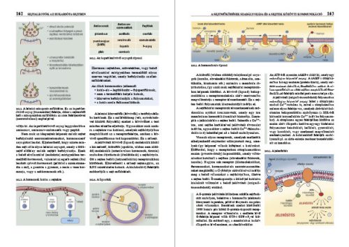 Biológia gimnáziumoknak 11.  MS-2650  (11. évfolyam, 3. kiadás (2024. 10. 17.)