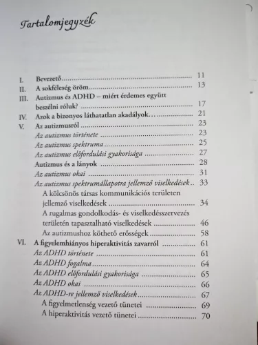 Szigethi Zsófia: Láthatatlan akadályok Útmutató autista és ADHD-s gyerekek megértéséhez és támogatásához