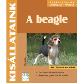 Marcia Foy: A ​beagle