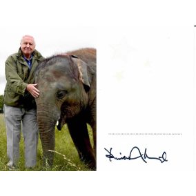 Signed photo by Sir David Attenborough 15x20 cm Signed photo by Sir David Attenborough 15x20 cm