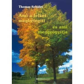 Ami a lelket megbetegíti és ami meggyógyítja Ami a lelket megbetegíti és ami meggyógyítja