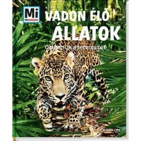Vadon élő állatok - Otthonuk a természet Vadon élő állatok - Otthonuk a természet