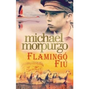 Flamingó fiú Flamingó fiú