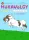 Hókavölgy 10. - A csapatverseny