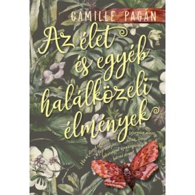 Az élet és egyéb halálközeli élmények Az élet és egyéb halálközeli élmények