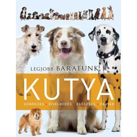 Legjobb barátunk a kutya Legjobb barátunk a kutya