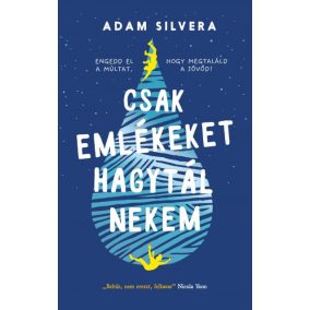 Csak emlékeket hagytál nekem Csak emlékeket hagytál nekem