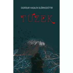 Tüzek