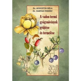 A vadon termő gyógynövények gyűjtése és termelése A vadon termő gyógynövények gyűjtése és termelése