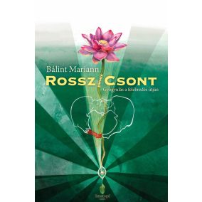 Rossz/csont Rossz/csont