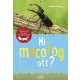 Mi mocorog ott?