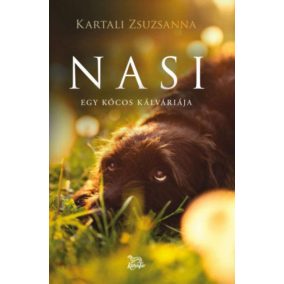 Nasi Nasi