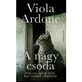 A nagy csoda A nagy csoda