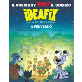 Ideafix 6. - A fényerdő