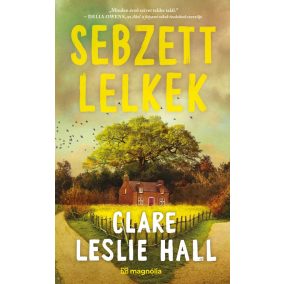Sebzett lelkek Sebzett lelkek