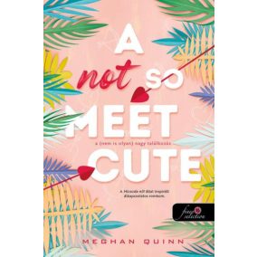 A Not So Meet Cute - A (nem is olyan) nagy találkozás (Cane Fivérek 1.)   A Not So Meet Cute - A (nem is olyan) nagy találkozás (Cane Fivérek 1.)