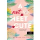 A Not So Meet Cute - A (nem is olyan) nagy találkozás (Cane Fivérek 1.)