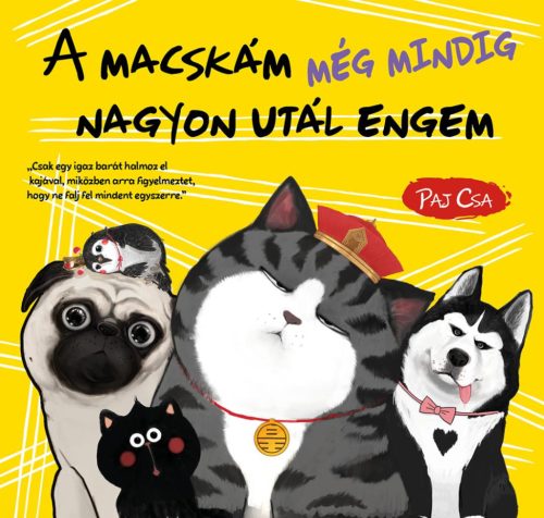 A macskám még mindig nagyon utál engem (Macska és Kutya 3.)