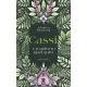 Cassi - A majdnem igazi guru