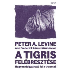 A tigris felébresztése A tigris felébresztése