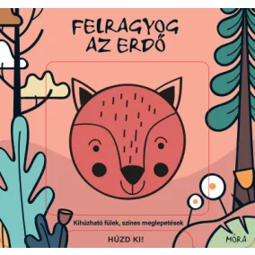 Felragyog az erdő