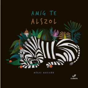 Amíg te alszol