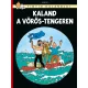 Tintin kalandjai 19.