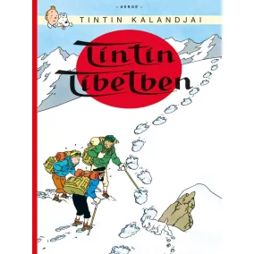 Tintin kalandjai 20.