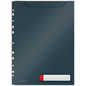   Genotherm, lefűzhető, A4 maxi, LEITZ "Cosy Privacy", bársonyszürke