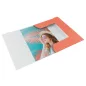   Gumis mappa, karton, A4, ESSELTE "Colour'Breeze", korall