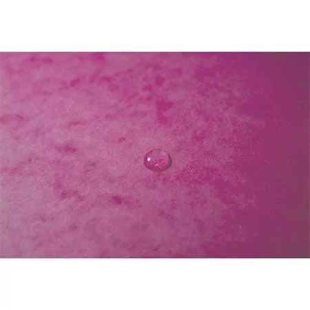 Gumis mappa, prespán, A4, EXACOMPTA, rózsaszín