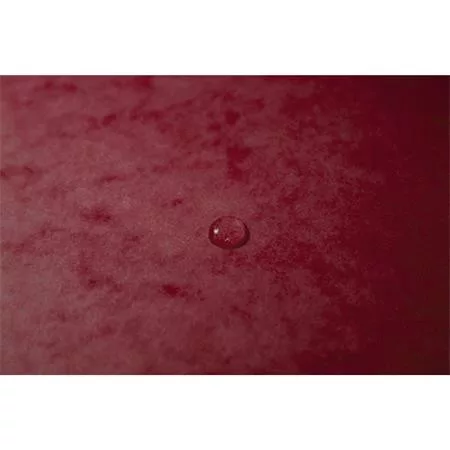 Gumis mappa, prespán, A4, EXACOMPTA, cseresznye