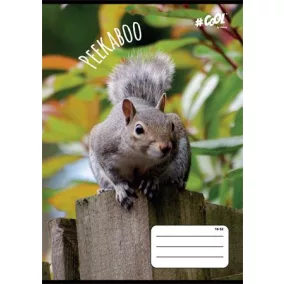   Füzet, tűzött, A5, vonalas, 32 lap, 2. osztály, COOL BY VICTORIA, "Peekaboo", "16-32"