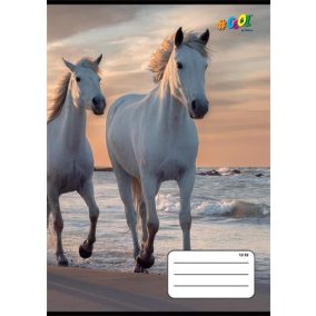 Füzet, tűzött, A5, vonalas, 32 lap, 3. osztály, COOL BY VICTORIA, "Horses", "12-32"   Füzet, tűzött, A5, vonalas, 32 lap, 3. osztály, COOL BY VICTORIA, "Horses", "12-32"