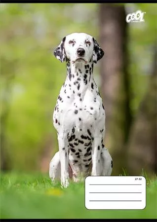 Füzet, tűzött, A5, kockás, 32 lap, COOL BY VICTORIA "B&W dogs", "27-32"