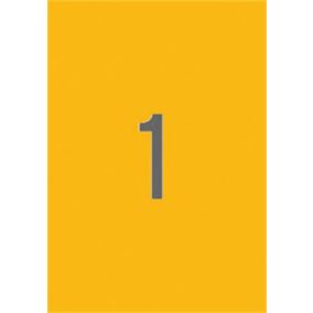   Etikett, 210x297 mm, színes, APLI, neon narancs, 20 etikett/csomag