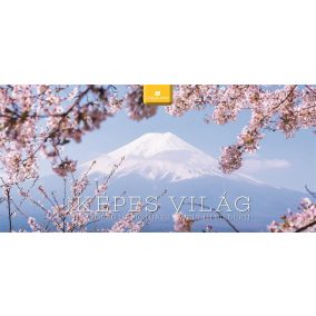 Naptár, asztali, álló, DAYLINER "Képes világ" Naptár, asztali, álló, DAYLINER "Képes világ"