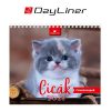 Naptár, asztali, álló, DAYLINER "Cicák"