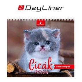 Naptár, asztali, álló, DAYLINER "Cicák" Naptár, asztali, álló, DAYLINER "Cicák"