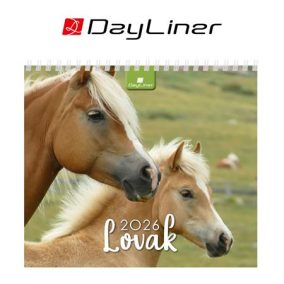 Naptár, asztali, álló, DAYLINER "Lovak" Naptár, asztali, álló, DAYLINER "Lovak"