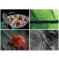 Naptár, fali, DAYLINER, "Macro Lens"