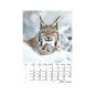 Naptár, fali, TOPTIMER "Vadállatok"