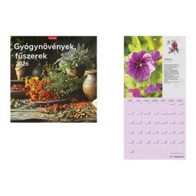   Naptár, fali, TOPTIMER, "Gyógynövények, fűszerek"