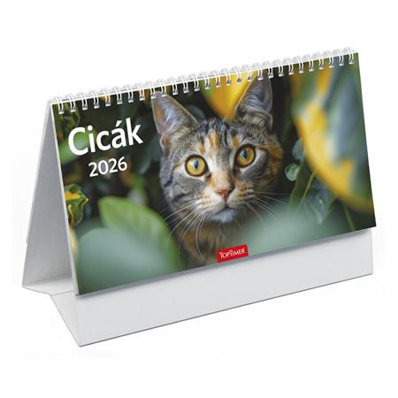 Naptár, asztali, álló, TOPTIMER, "Cicák"