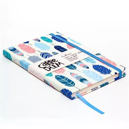 Jegyzetfüzet, A5, puhafedeles, PUKKA PAD "Carpe Diem", toll minta